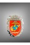 Self Adhesive Metal Casting Arma United - 2
