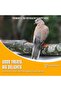 Bird Food Daily Budget-Friendly - 1 Kg, Bird Seed - 4
