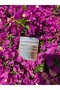 Women's Gold Metallic Leather Stylish Card Holder 5 Compartments Minimal Design - 5