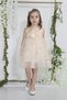 Minimony 1-5 Years Old Butterfly Detail Tulle Baby Girl Children's Festive Graduation Prom Evening Dress Wedding Dress - 2