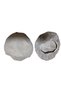 Disposable Headphone Cover, Headphone Case, Overshoes (Pack of 100) 11 cm (XL) Gray - 7