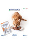 Cat Wet Food Pouche with Salmon - 100g - Lechat Excellence by Monge - 2