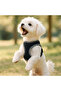 S-M-L Washable Mesh Mesh Chest Harness Breathable Anti-Sweat Durable Clip-On Velcro Leash - 4
