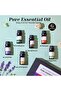 Pure Essential Oils Set, Premium Pure and Natural Oil, for Oil Diffusers, 6 pcs x 10 mL - Sanda - 6