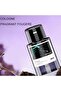 Starry Sky Aromatherapy Intelligent Spray Humidifier – Car & Home Dual-Use Perfume Diffuser - 4