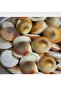 Snake Stone 40 Pieces Female Male Mixed