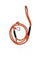Dog Walking Rope Bermuda Carabiner for 20 kg and Below