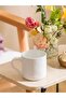كوب سيراميك مطبوع عليه نص LCW HOME (W5) - 2