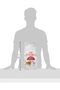 Royal Canin Fhn Feline Health Nutrition Fit 32 2Kg Adult Cat Dry Food - 6