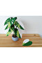Philodendron Tree Shaped Pink/Green Princess Coaster - 2