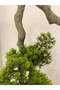 Decorative Tree - 2