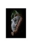 Tablou Canvas, 'Koala adormit în cocon de copac' - 2