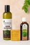 Sidr Hair Care Set |   Shampoo 400 ml + Sidr Oil 100 ml + Soap |   Natural Herbal Care