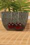 Gold Color Cherry Model Women's Earrings - 5