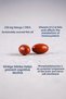 Active Memory Brain Function Memory Support Omega-3 Dha 30 Capsules - 2