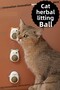 Your Cat's New Favorite: Licking Ball with Teddy Bear, Cute Design and Natural Ingredients - 3