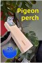 Wooden Pigeon Perch 14 cm 20 Pieces Single Wooden Resting Perch