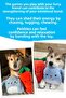 Plush Dog Toy Set 2 Pcs - Plush Rabbit and Plush Carrot Sounding Dog Toys - 7