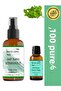 100% Pure Mint - Essential Oil and Water (10ml+100ml) - 3