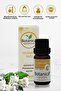 Jasmine Oil - Jasminum Grandiflorum Jasmine Essential Oil Aromatic 10 ml