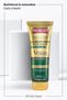 Botanic Oils Argan Oil Hair Cream 250 ml Repairing Argan Hair Care Cream 2-Pack - 2