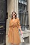 Camel Long Sleeve, Deep Shirt Collar Tie Waist Pocket Button Front, A-line Loose Dress - 3