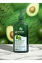 Papaana Organics Moringa & Avocado Conditioner – 400ml
