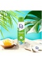 Caribbean Wave Deodorant Spray 150ml – Fresh Tropical Fragrance - 2