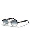 Zm4306-C3 51 Unisex Sunglasses