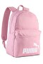 Phase Backpack Backpack