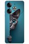 Tecno Pova 6 Pro Case Hd Pattern Printed Back Cover - Blue Eyed Cat