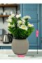 Small Artificial Flower Decorative Table Ornament 20cm Mini Tabletop Blossom in Plastic Pot Home Ornaments Gift - 4