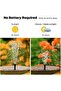Solar Fountain Pump for Bird Bath, 4 Nozzles, Adjustable Spray Patterns (13cm) - 7