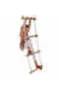 3 Panels of Climbing Wall with Swedish Ladder Combo | Basic Model - 7