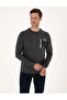 Anthracite Regular Fit Crew Neck Sweatshirt 50317750-Vr006