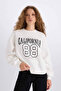 Loose Fit Crew Neck Printed Thick Fabric Sweatshirt E3388Axns
