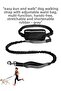 Dog Walking Strap with Adjustable Waist Bag, Hands Free, Extendable-Shorted Elastic