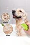 Steam Cat Dog Comb Soft Pet Hair Collector Cleaner Combing Tool Brush with Chamber - 7