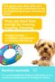 Beach Dogs Themed Dog Toy Plush Donut, Ideal Dog Sleeping Companion for Fetch Games - 7