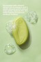 2 Piece Fig Leaf Bath Soap Set - 4