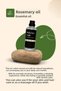 Rosemary Oil 100 ml - Anti-Hair Loss and Skin Care Oil - 2