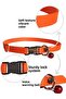 Cat Collar with Bell Set of 5 20-32 Cm Orange Turquoise Yellow Gray Red - 4