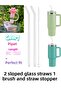 1Pcs Silicone Pipette Stopper Cap for 10 mm Stnley, 2Pcs Beveled Glass Pipette and 1 Brush (Glass Pipette)