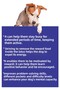Dog Toy with Food Storage - 5