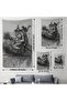Flying Elderly Witch and Cat with Broom Halloween Gift Hellowen Wall Cloth Rug 6304 - 3