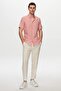 Ds Groom Slim Fit Red Seersucker Striped Short Sleeve Summer Shirt - 6