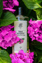 Bouquet Edc 250 ML - 4