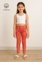 Girl's Set of 5 Colors Cotton and Lycra Summer Long Leggings - 2