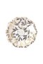 - Pine Plate - Gold - S - 2