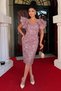 Embroidery Lace Fabric Boat Neck Pencil Dress - Dry Rose - 2